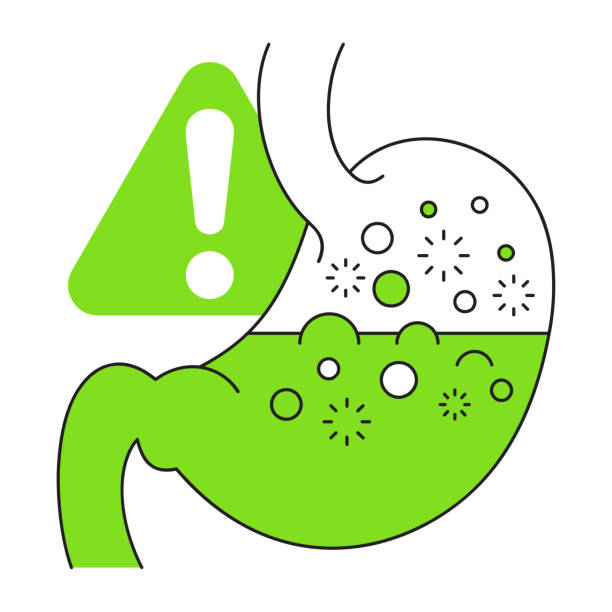 Kidney